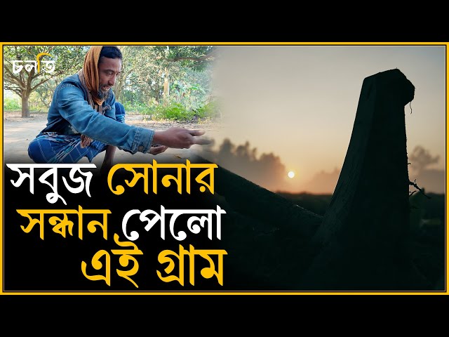 সবুজ সোনা কোথায় পেলো এরা? | Vegetable | চলতি