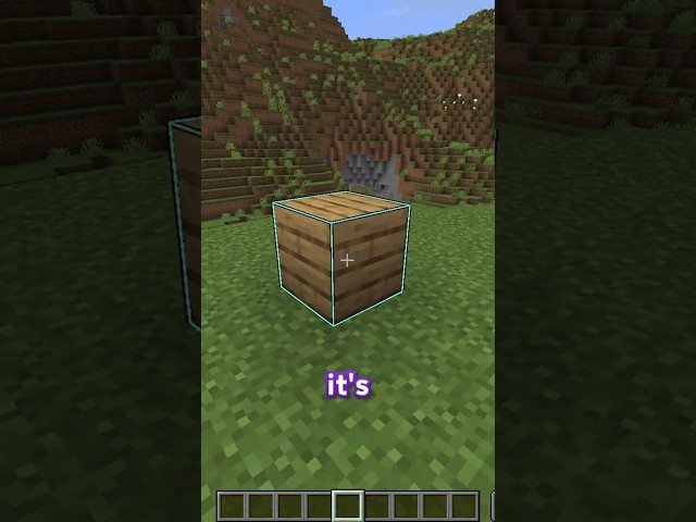 How to get the Blue Block Outline #minecraft #mcyt #help #gaming #fyp