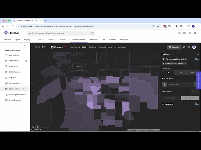 Placer.ai Tutorial: Spatial.ai Demographics Overview
