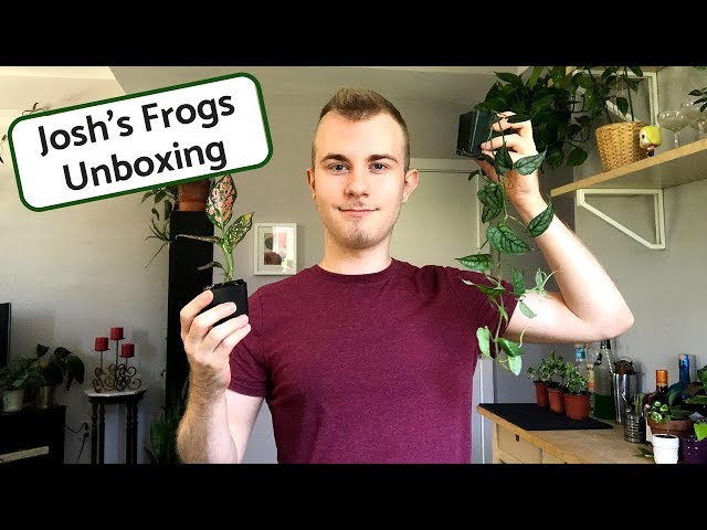 Houseplant Unboxing | Josh’s Frogs