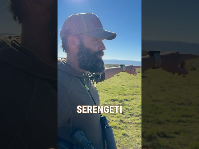 5 Species From ONE SPOT! #pursuitwithcliff