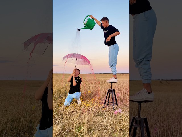 Creative tutorial with an umbrella and yellow petals 💜🌻🌼