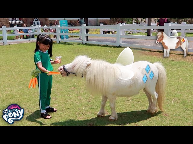 Yuk Kasih Makan Kuda Poni Mirip My Litte Pony | Mengenal Binatang Lucu