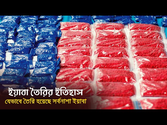 ইয়াবা তৈরির ইতিহাস এবং এর ভয়াবহতা | History of Yaba making | Bangla Documentary