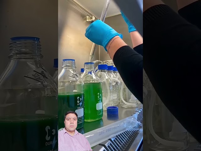 This Green Water Isn’t Water… It’s Future Fuel! 🌱⛽ Open Pond Bioreactor Explained #shorts​