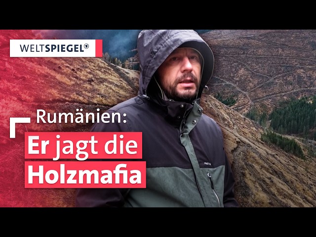 Kampf gegen Waldzerstörung in Rumänien | Weltspiegel