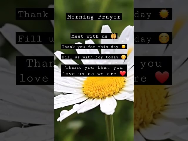 Start Your Day With God | One Minute Prayer