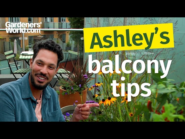 Ashley's balcony makeover | How to create a LUSH garden in a tiny space