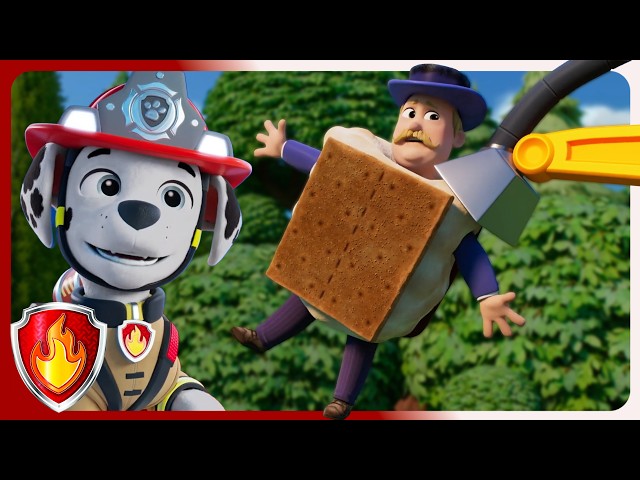 S'more Galore | Marshall PAW Patrol  | Cartoons For Kids