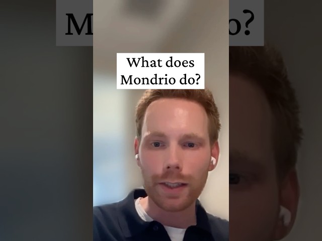 What Does Mondrio Do?