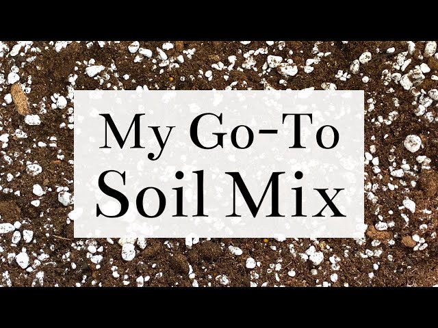 My Go-To Soil Mix For My Houseplants