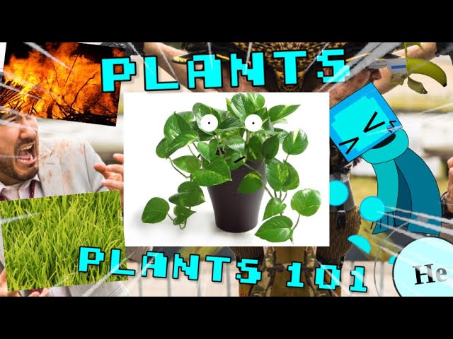 「Plants」 #short