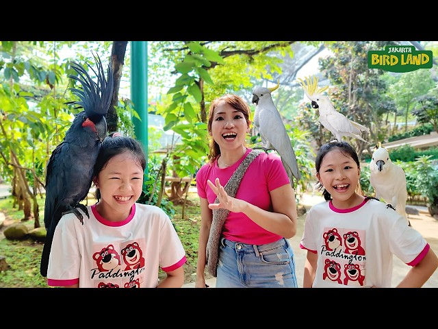 First Time Seeing a Palm Cockatoo, Feeding a Yellow-Crested Cockatoo at the Bird Park