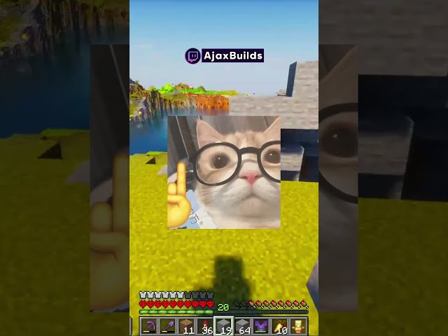 El Primer Viral del Editor!🙀 #minecraft  #shorts
