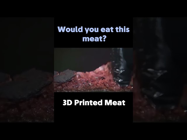 3D Printed Meat / Is it Gross?