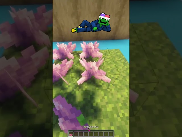 Minecraft: Truth or Lie? 🤔 #shorts #minecraft