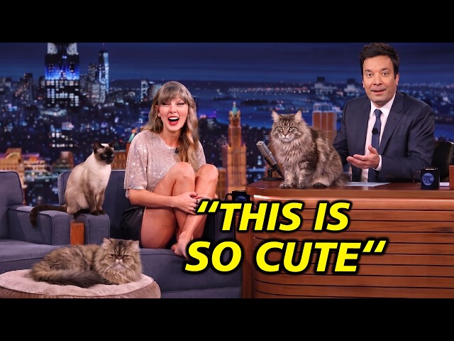 Why Taylor Swift So OBSESSED With Her Cats