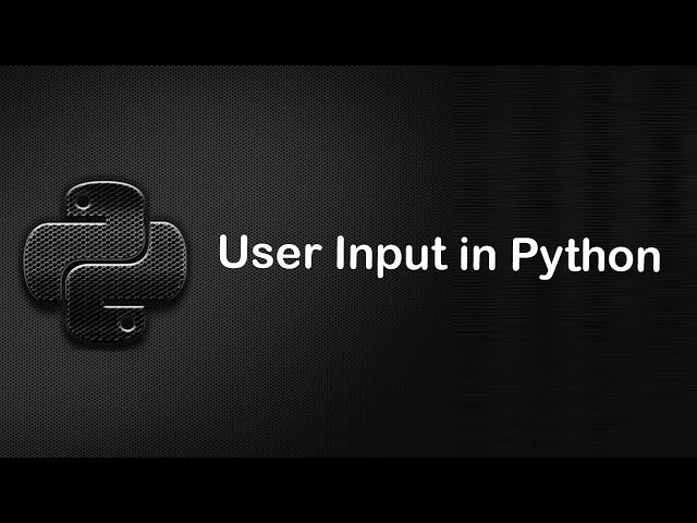 User Input in Python