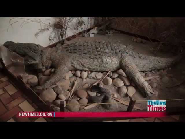 Exploring Rwanda’s museums and historical sites