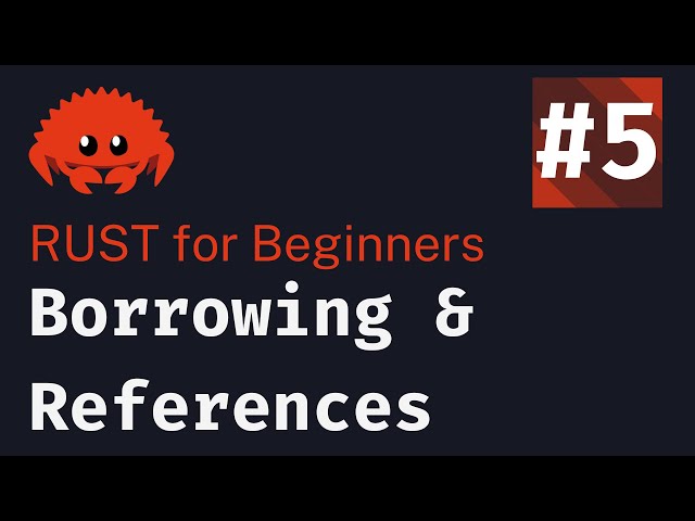 Rust Basics 2024: Lesson 5 | Borrowing & References