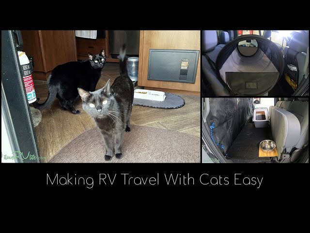 Making RV Travel With Cats Easy