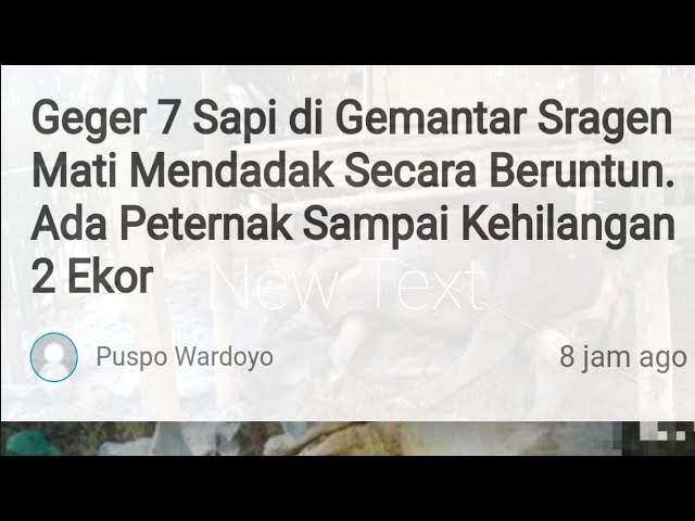 Geger 7 Sapi Mati Mendadak, begini Gejala Awalnya