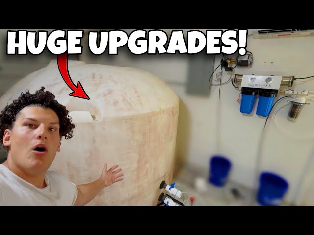 I MASSIVELY Upgraded My Fish Room… This Changes Everything