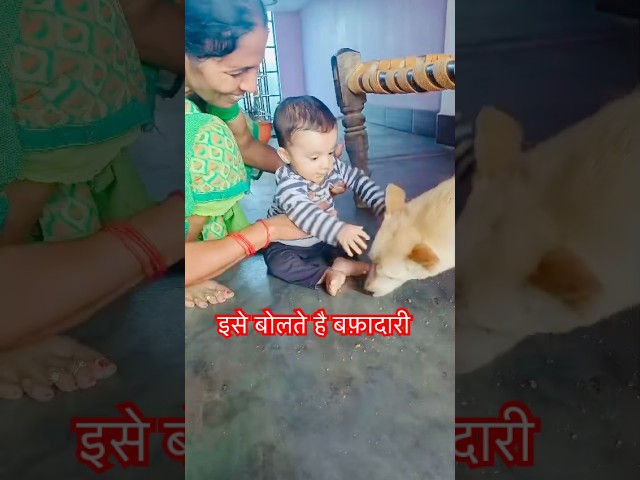 👉💯 इसे बोलते है बफादारी दोस्तों #viral #shorts