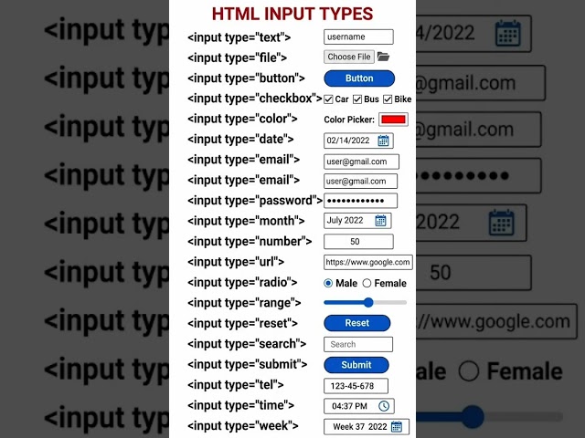 HTML Input Tags List Tutorial For Beginners ll Web-Development  #css #javascript  #html