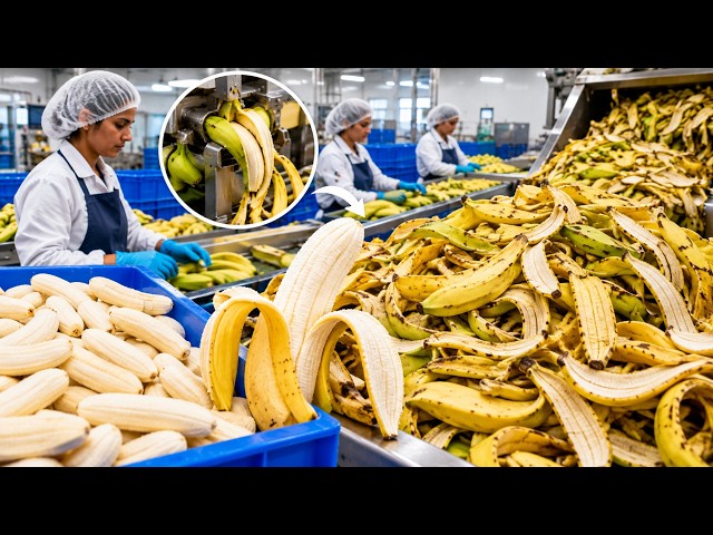 Inside Southeast Asia's Largest Banana Peel Processing Factory You've Never Seen