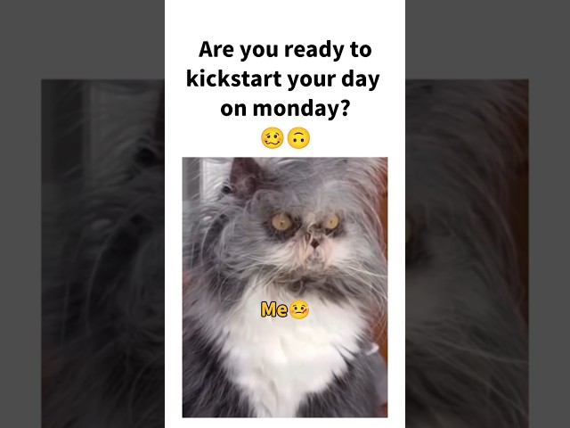 #viralvideo #ytshorts #corporatelife #comedy #memes