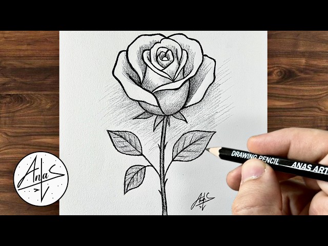 How To Draw A Rose | Drawing Tutorial