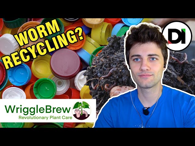 What Makes Wriggle Brew So Special?