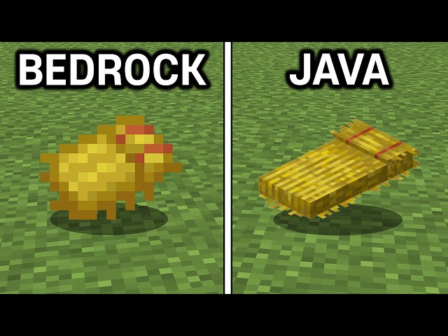 88 Java vs Bedrock Features!