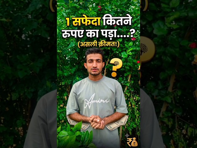 1 सफेदा कितने रुपए का पड़ा #shorts #virl #safeda #khetibadi