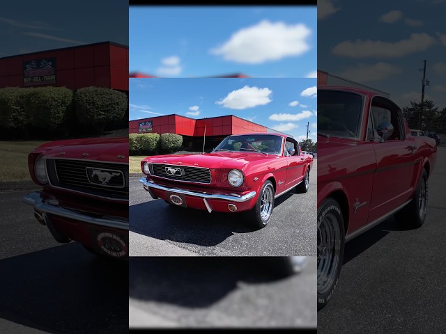 Check out our New Arrival! 1966 Ford Mustang!