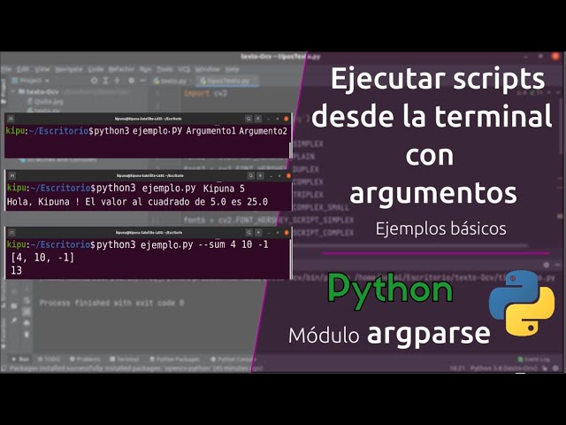 Ejecutar python desde la terminal con argumentos | python - argparse | Ubuntu