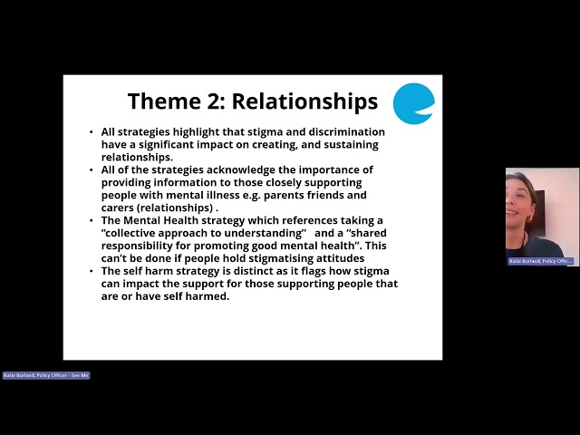 See Me Expert Group Digital Session 1 - What do the strategies say