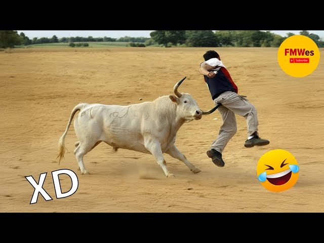 IF YOU LAUGH YOU LOSE GOD LEVEL #526 🤣 TOP 100 FUNNIEST VIDEOS OF ALL TIME 😆