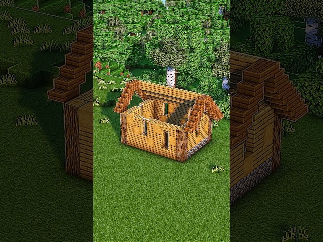 Minecraft Starter House 🏠
