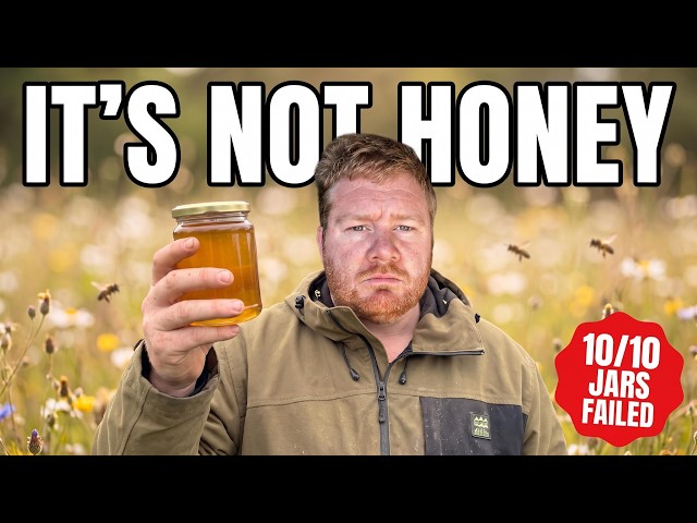 You Think That's Honey. Here's What's Actually In The Jar