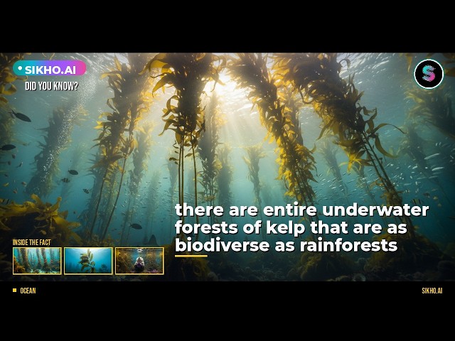 Did You Know Underwater Kelp Forests Rival the Amazon? | Sikho.ai