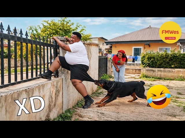 Funny Videos 🤣 If You Laugh You Lose God Level #849 😎 Mexican Viral Humor 🤣