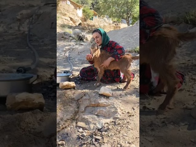 A Day of My Life in the Mountains