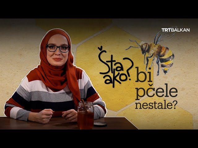 ŠTA AKO: bi pčele nestale?