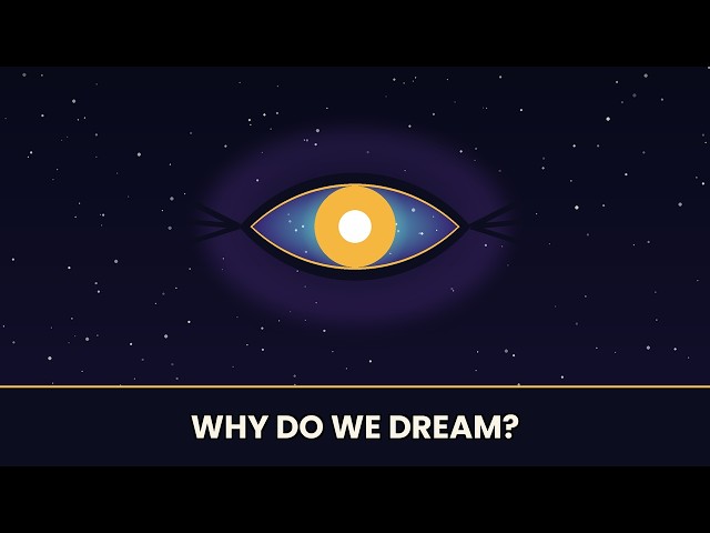 What Really Happens When You Dream? (The Science Explained)