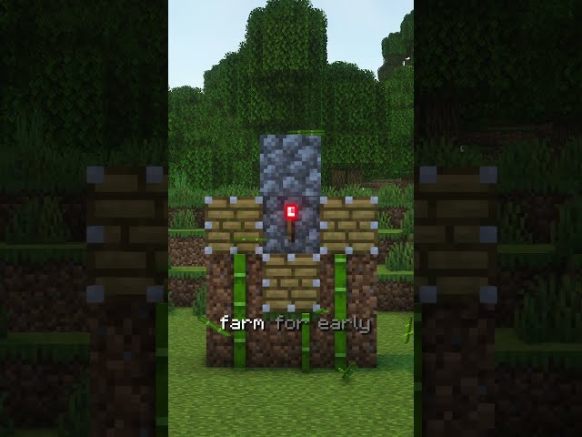 The Best Early Game Bamboo Farm in Minecraft