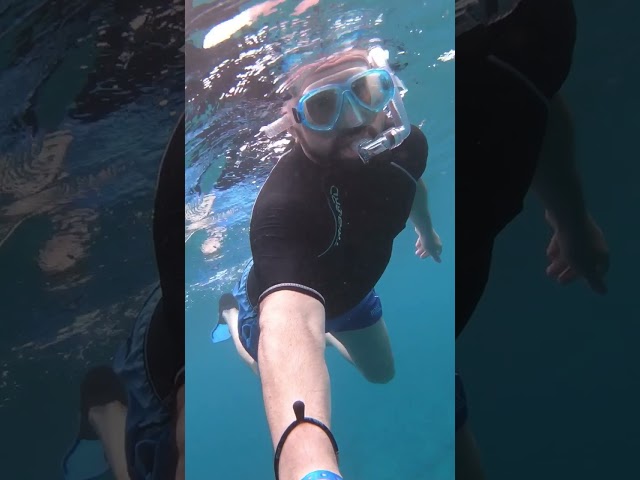 DEEP BLUE #short