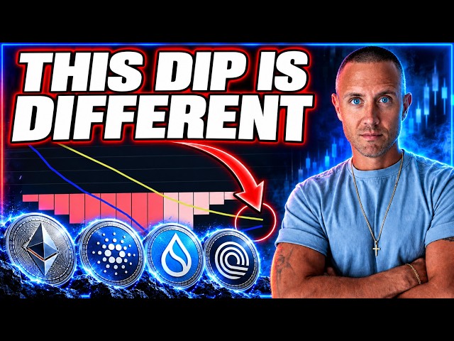 CRYPTO DIP: Bear Market’s Back?! (It’s NOT... Altcoins Haven't Looked This Good In 5 Years!