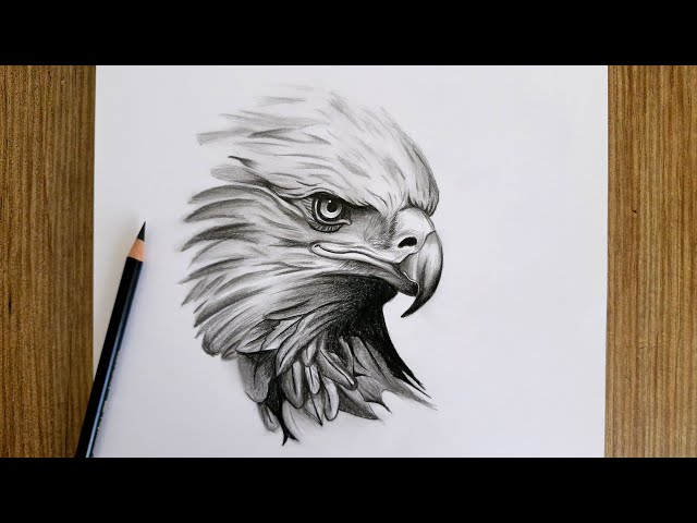 Realistic Eagle Drawing / Step by Step Pencil Drawing Tutorial